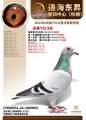 图片暂时未上传