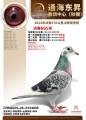 图片暂时未上传
