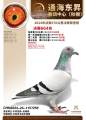 图片暂时未上传