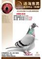 图片暂时未上传