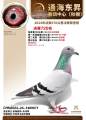 图片暂时未上传