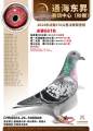 图片暂时未上传