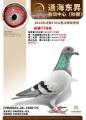图片暂时未上传