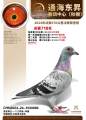 图片暂时未上传