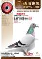 图片暂时未上传
