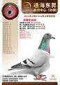 图片暂时未上传