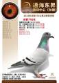 图片暂时未上传