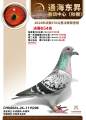 图片暂时未上传