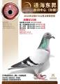 图片暂时未上传