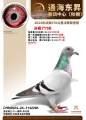 图片暂时未上传