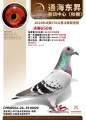 图片暂时未上传