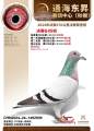 图片暂时未上传