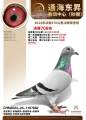 图片暂时未上传