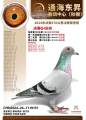 图片暂时未上传