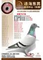 图片暂时未上传