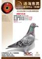 图片暂时未上传