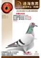 图片暂时未上传