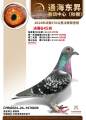 图片暂时未上传