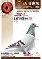 图片暂时未上传