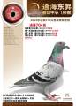 图片暂时未上传