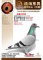 图片暂时未上传