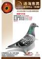图片暂时未上传