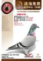 图片暂时未上传