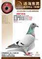 图片暂时未上传