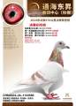 图片暂时未上传