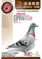 图片暂时未上传