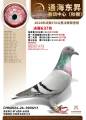 图片暂时未上传