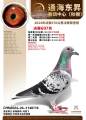 图片暂时未上传