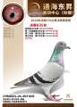 图片暂时未上传