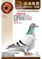 图片暂时未上传