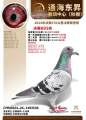 图片暂时未上传