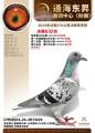 图片暂时未上传