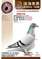 图片暂时未上传