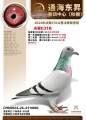 图片暂时未上传