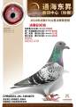 图片暂时未上传