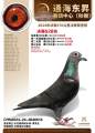 图片暂时未上传