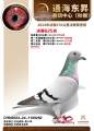 图片暂时未上传