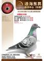 图片暂时未上传