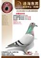 图片暂时未上传