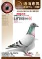 图片暂时未上传