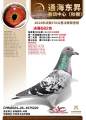 图片暂时未上传