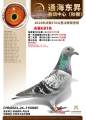 图片暂时未上传