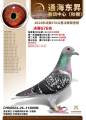 图片暂时未上传