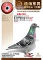 图片暂时未上传