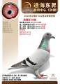 图片暂时未上传