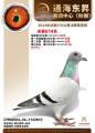 图片暂时未上传